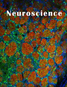 Selected as a Journal cover page